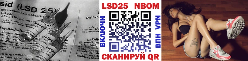 дарнет шоп  Александровское  ЛСД экстази кислота 